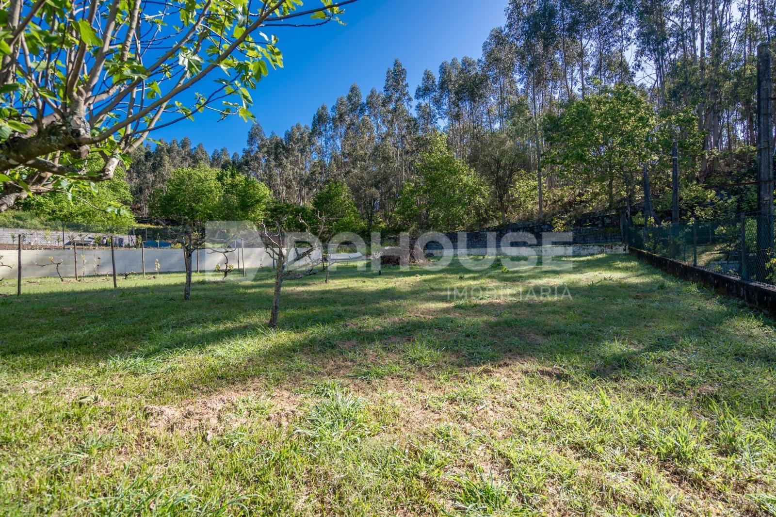 Imagem WhatsApp 2024-10-10 às 10.57.24_614b6440